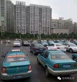 天津爆料出租车上街视频,天津出租车街头冲突视频引发热议  第3张